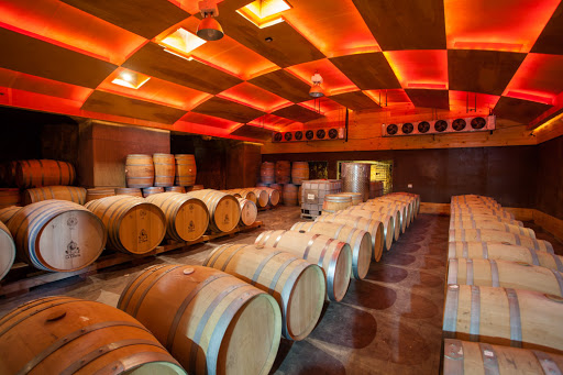 Baja Winery Tours
