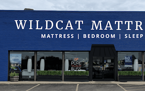 Wildcat Mattress & Massage Chairs image
