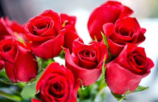 Florist «The Daisy Fair Flowers», reviews and photos, 1400 4th Ave, Conway, SC 29526, USA