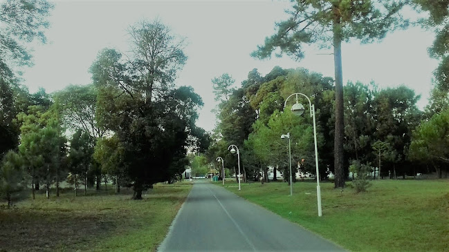 Quinta da Fonte Quente, 3060-586 Tocha, Portugal