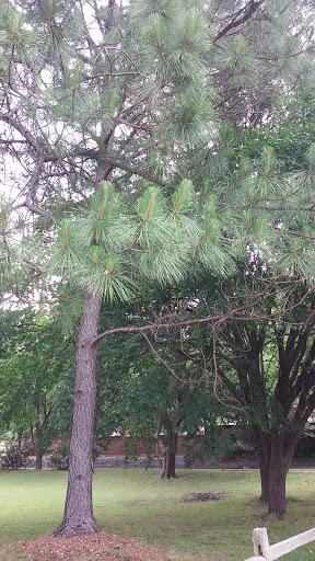 Park «Sparger Park», reviews and photos, 4301 Bedford Rd, Colleyville, TX 76034, USA