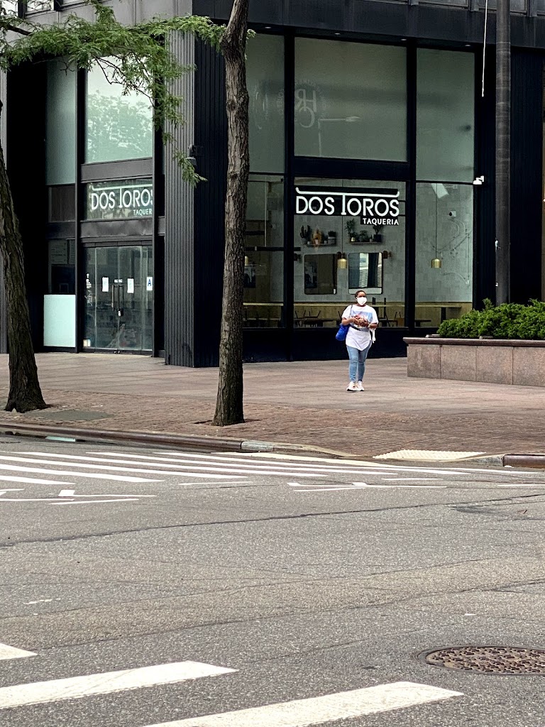 Dos Toros Taqueria 10281