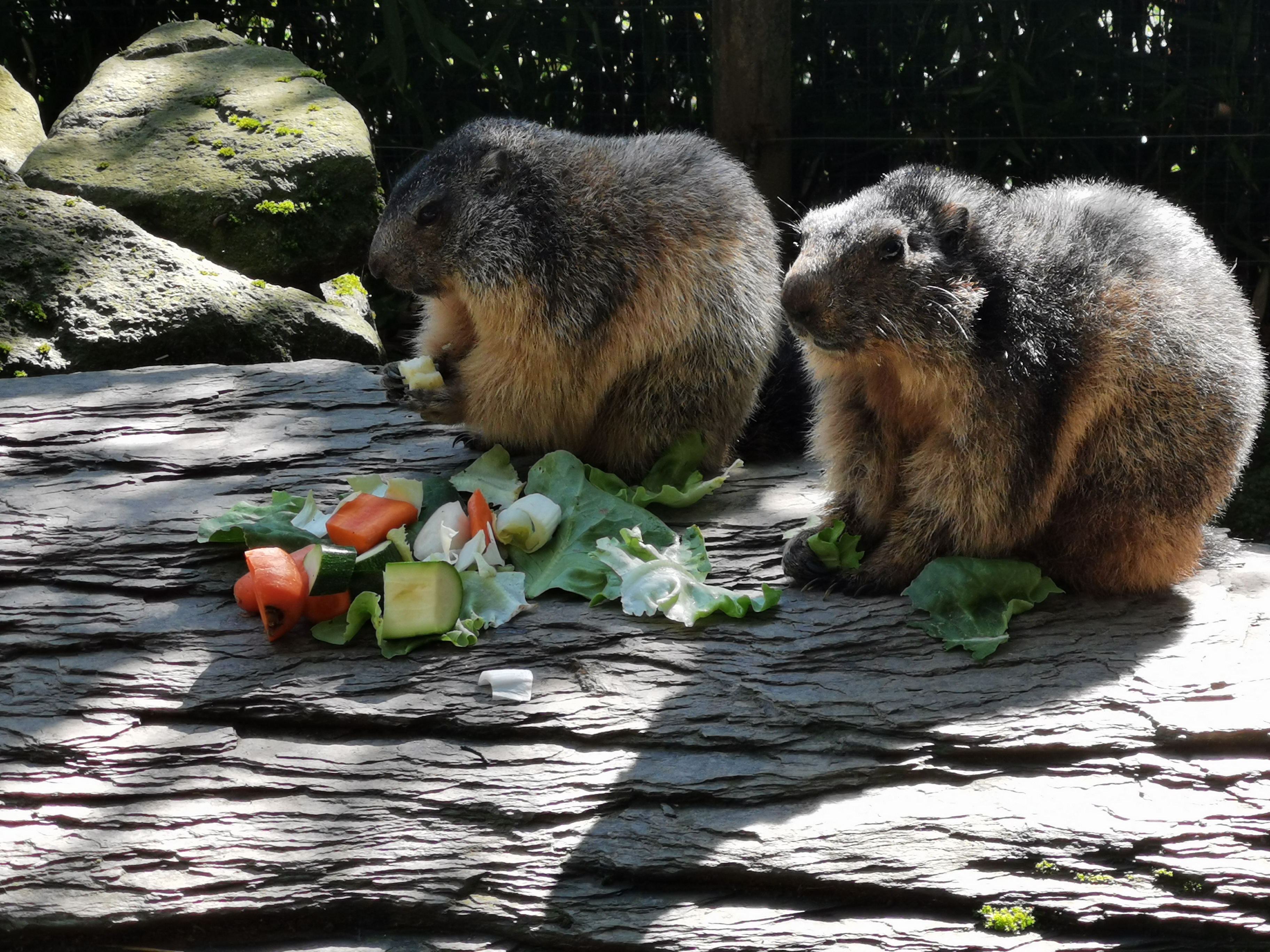 Photo n° 1 de l'avis de D. fait le 16/09/2023 à 05:12