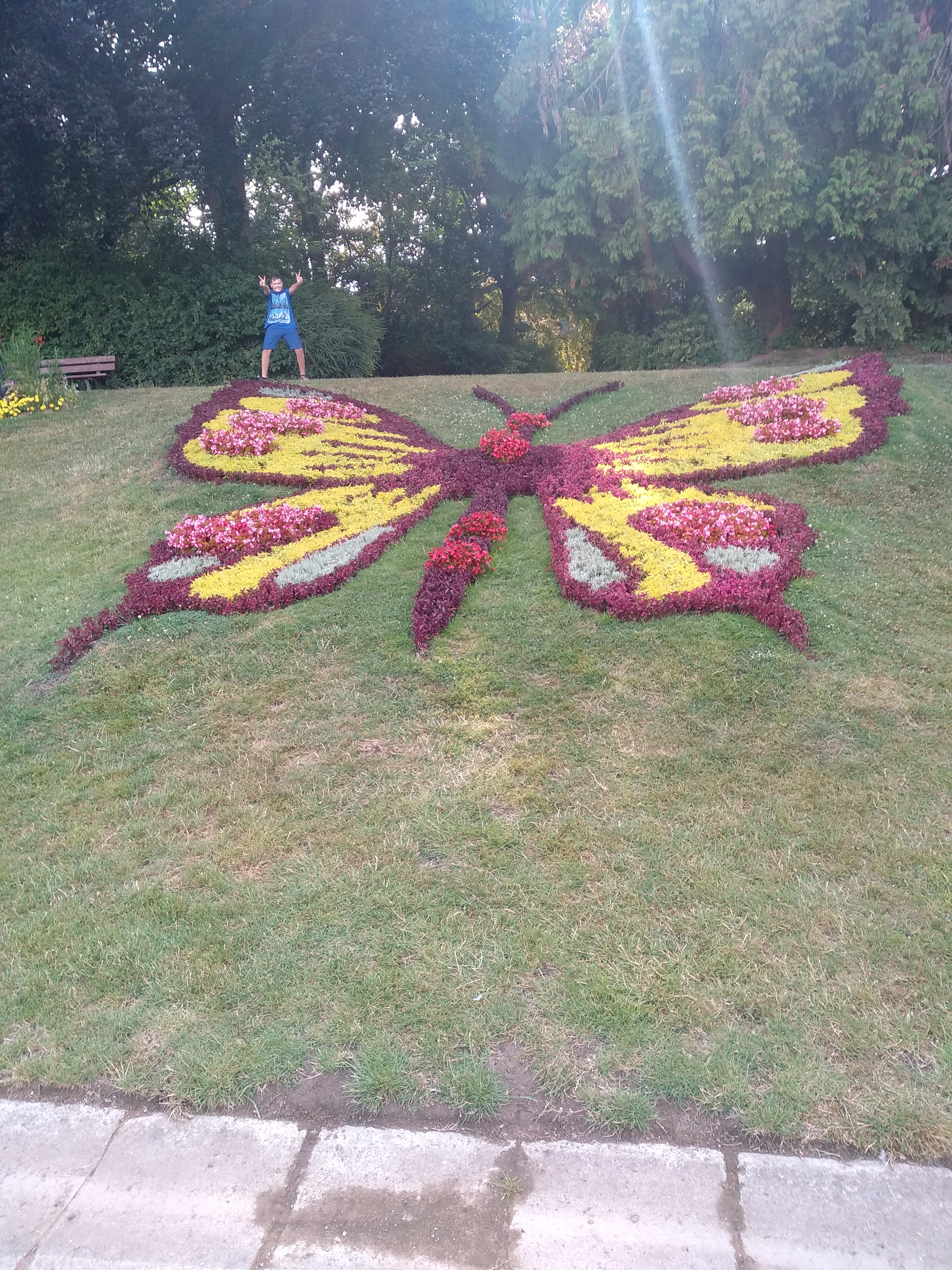 Photo n° 1 de l'avis de Gaetan.h fait le 22/07/2019 à 14:41
