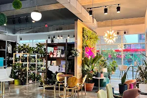 GROW Plant Bar| Botanic- Coffee & Cocktails Lounge image