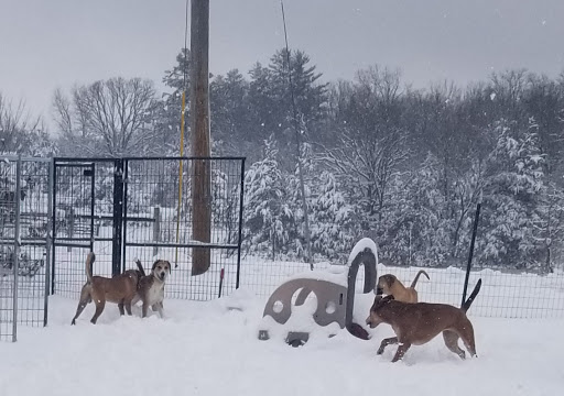 No Time to Spare Animal Rescue and Sanctuary