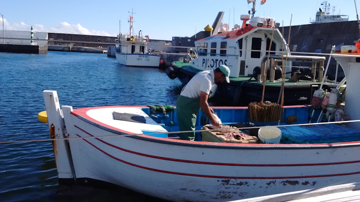 Extérieur hôtels Casa das Faias 9880-236 Santa Cruz da Graciosa
