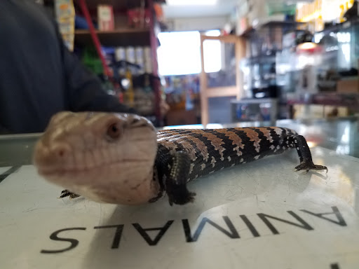 Pet Store «Mike Pet Center LLC», reviews and photos, 133 NJ-35, Neptune City, NJ 07753, USA