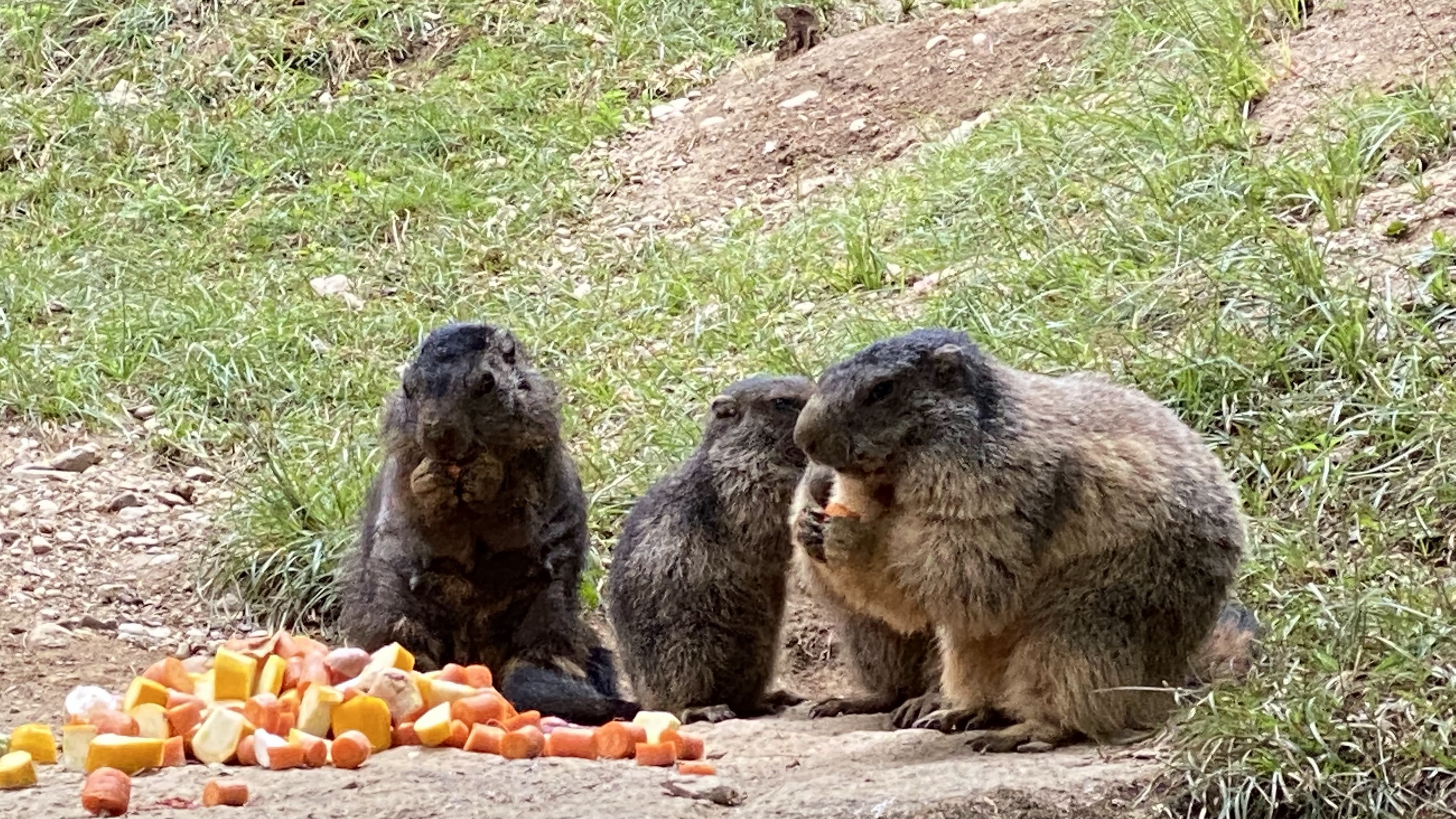 Photo n° 8 de l'avis de Jérémie.o fait le 10/07/2021 à 20:40