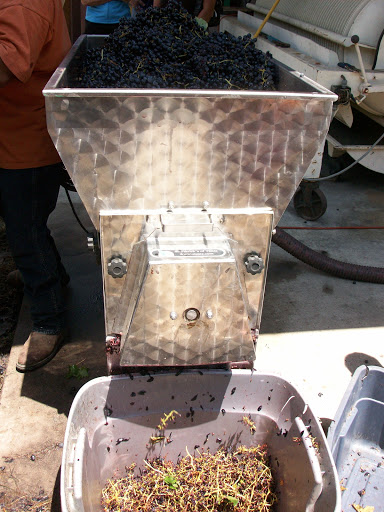 Winery «Wales Manor», reviews and photos, 4488 Co Rd 408, McKinney, TX 75071, USA