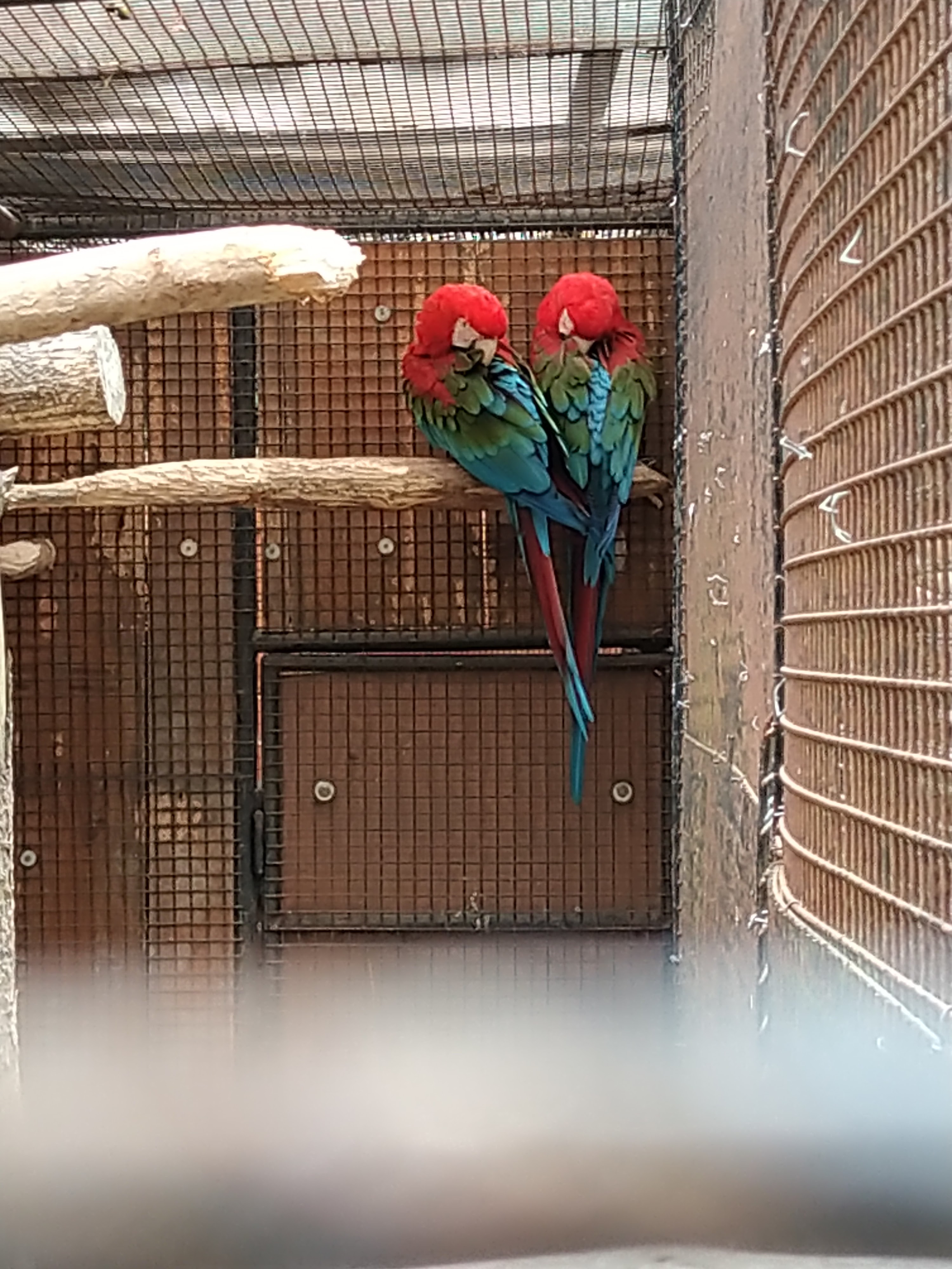 Photo n° 7 de l'avis de HardLoSeDa. fait le 15/08/2019 à 14:36