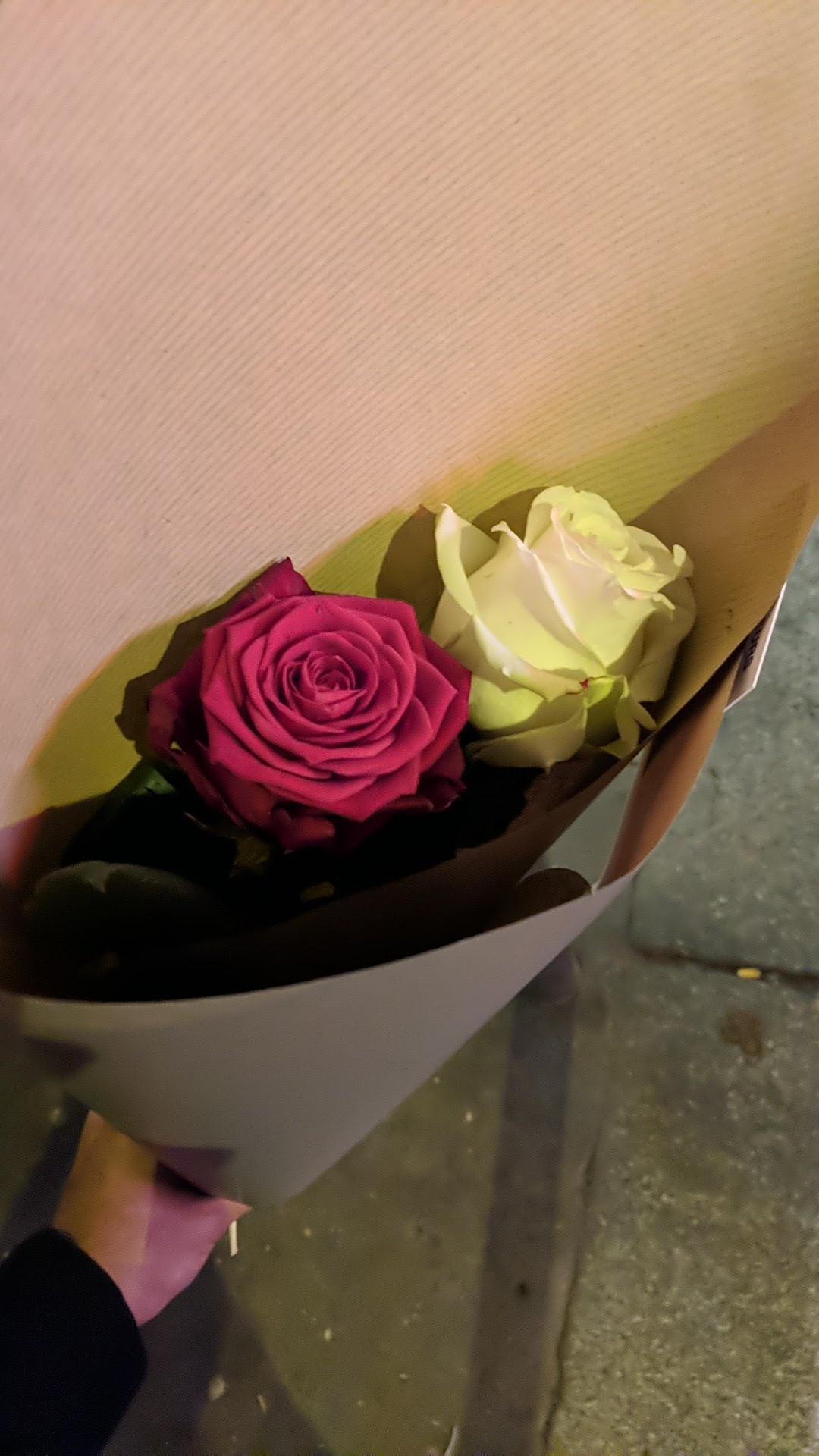 Photo n° 1 de l'avis de itsanewdayy29. fait le 22/11/2019 à 18:38