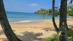 Foto di Stonehaven Bay beach circondato da montagne