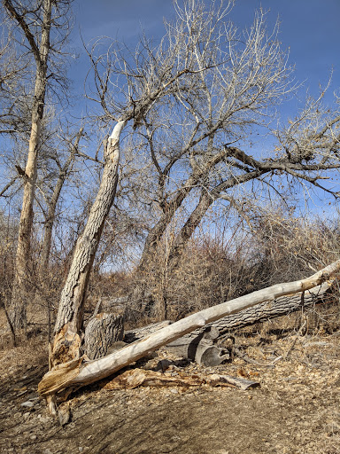 Park «Piney Creek Hollow Park», reviews and photos, 6140 S Tower Rd, Aurora, CO 80016, USA