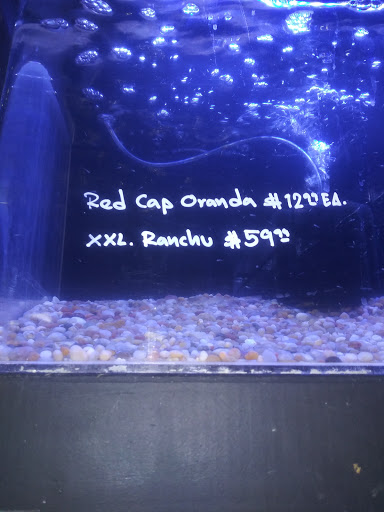 Tropical Fish Store «Sunset Pet & Supplies», reviews and photos, 1373 Sunset Blvd, Los Angeles, CA 90026, USA