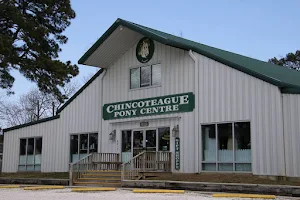 Chincoteague Pony Centre image