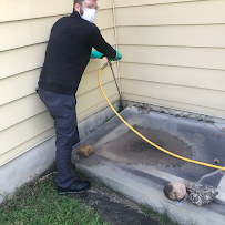 Rossi Pest Services - Photo 8 - Car repair in Springfield, VA, Arlington