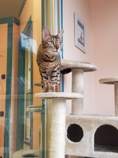 Pet Store «Family Pet Center», reviews and photos, 11916 NE Halsey St, Portland, OR 97220, USA