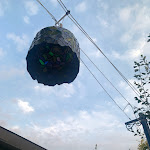 Photo n°1 de l'avis de Paolo.P fait le 15/12/2019 à 10:27 sur le  Dieta Mediterranea à Brescia