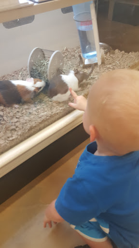 Pet Supply Store «Pet Supplies Plus», reviews and photos, 3060 N Lewis Ave, Waukegan, IL 60087, USA