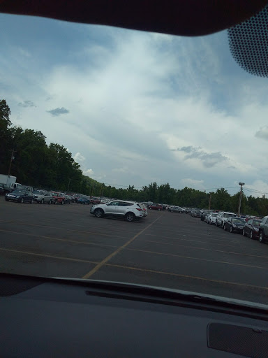 Auto Auction «Capital City AA», reviews and photos