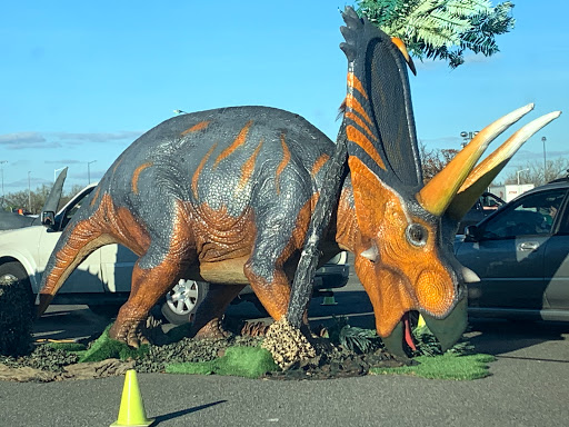 Stadium «RFK Stadium», reviews and photos, 2400 East Capitol Street SE, Washington, DC 20003, USA