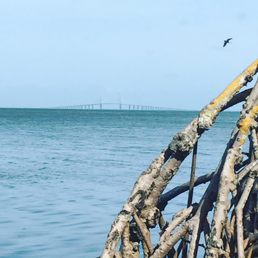 Nature Preserve «Emerson Point Preserve», reviews and photos, 5801 17th St W, Palmetto, FL 34221, USA