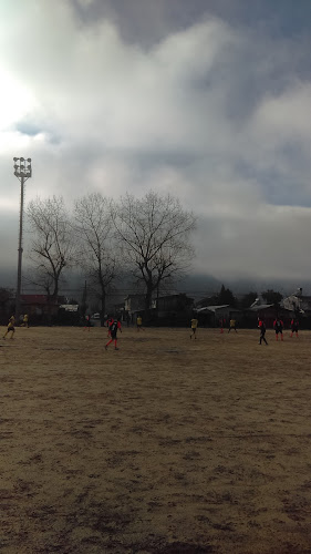 Opiniones de Cancha Chiguayante Sur en Chiguayante - Campo de fútbol