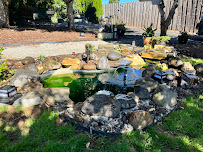 American Stone - Photo 8 - Car repair in Vancouver, WA, Vancouver