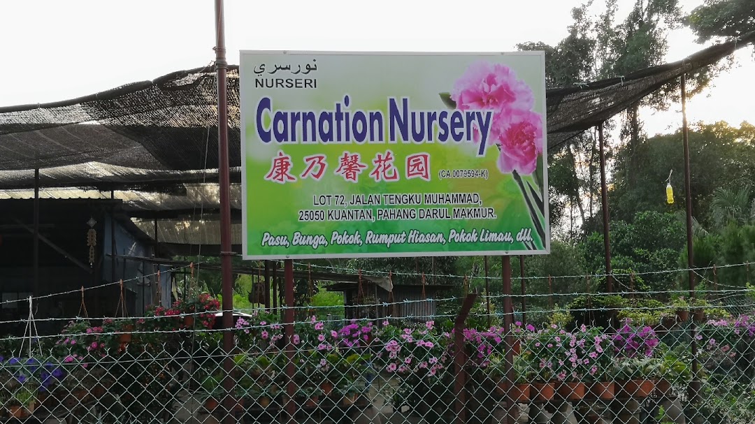 Carnation Nursery