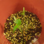 Photo n°1 de l'avis de Daniele.i fait le 05/12/2019 à 20:16 sur le  Ristorante La Tavernetta à Lido