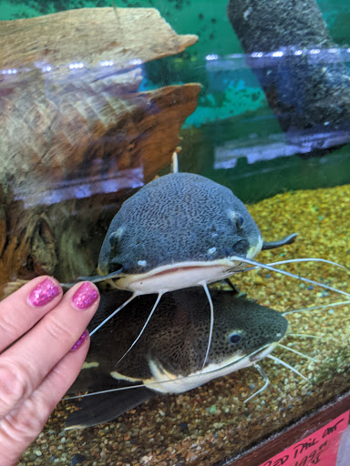 Pet Store «Fish-N-Pets Unlimited», reviews and photos, 11710 Bissonnet St, Houston, TX 77099, USA