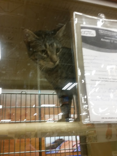 Pet Supply Store «PetSmart», reviews and photos, 122 Dunes Plaza, Michigan City, IN 46360, USA