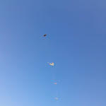 Photo n°5 de l'avis de Mara.a fait le 14/07/2023 à 12:07 sur le  Raphael Beach à Civitanova Marche