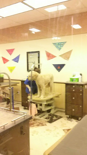 Pet Supply Store «PetSmart», reviews and photos, 1 Worcester Rd, Framingham, MA 01701, USA