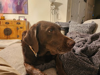 Dogtopia of Solon - Photo 4 - Car repair in Solon, OH, Cleveland