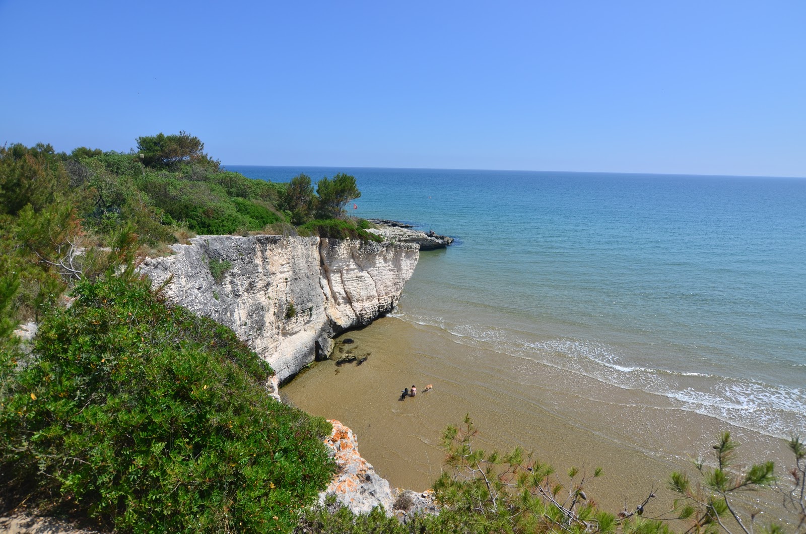 Foto di Spiaggia dei Colombi con molto pulita livello di pulizia