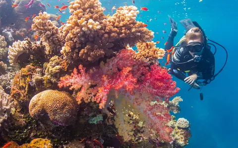 Ocean Ventures Fiji image