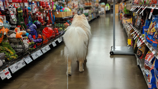 Pet Supply Store «Pet Supplies Plus», reviews and photos, 1031 Northwest Hwy, Garland, TX 75041, USA