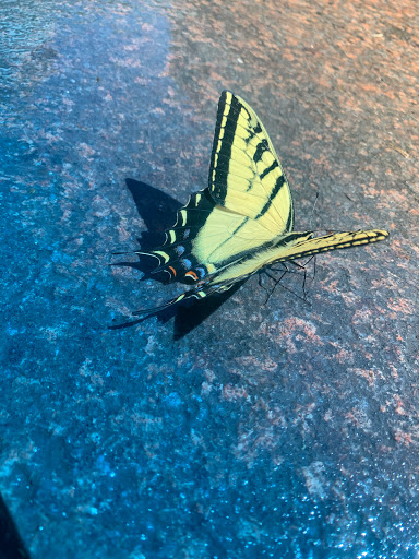 Computer Store «Apple City Creek Center», reviews and photos, 50 Main St, Salt Lake City, UT 84101, USA