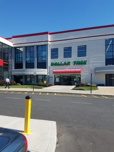 Dollar Store «Dollar Tree», reviews and photos, 323 Old York Rd C, Jenkintown, PA 19046, USA