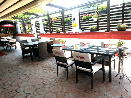 Doi Cocoși Restaurant