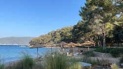 Mesa Plajı'in fotoğrafı imkanlar alanı