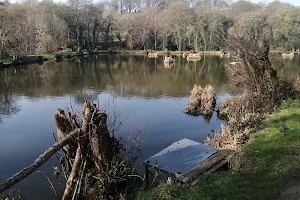 Loxley Fishery image