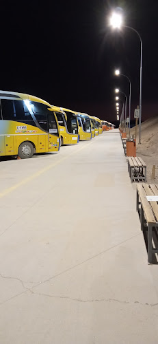 Terminal de Buses Pullman Bus - Servicio de taxis