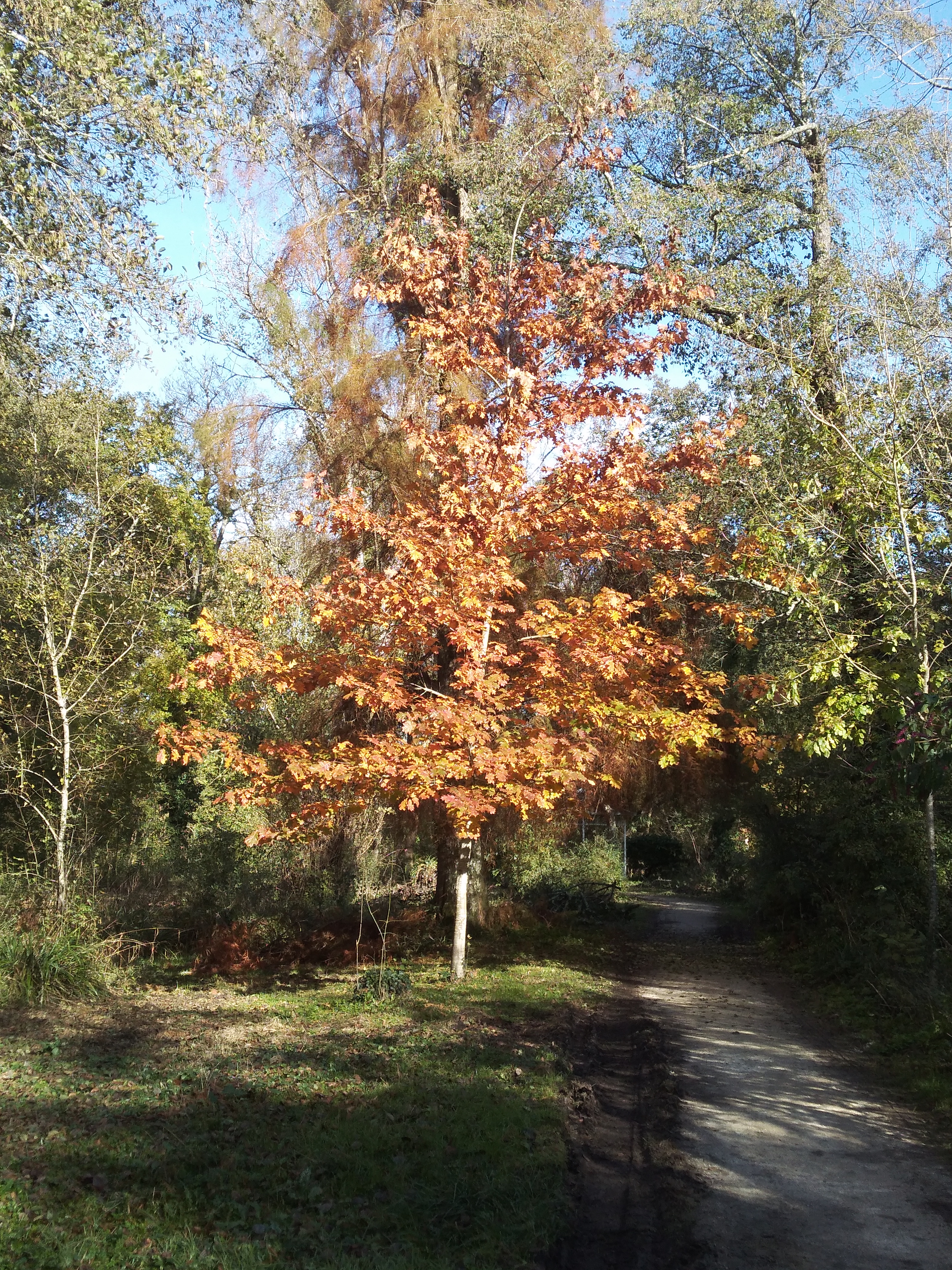 Photo n° 4 de l'avis de Emmanuelle.l fait le 06/02/2020 à 16:17