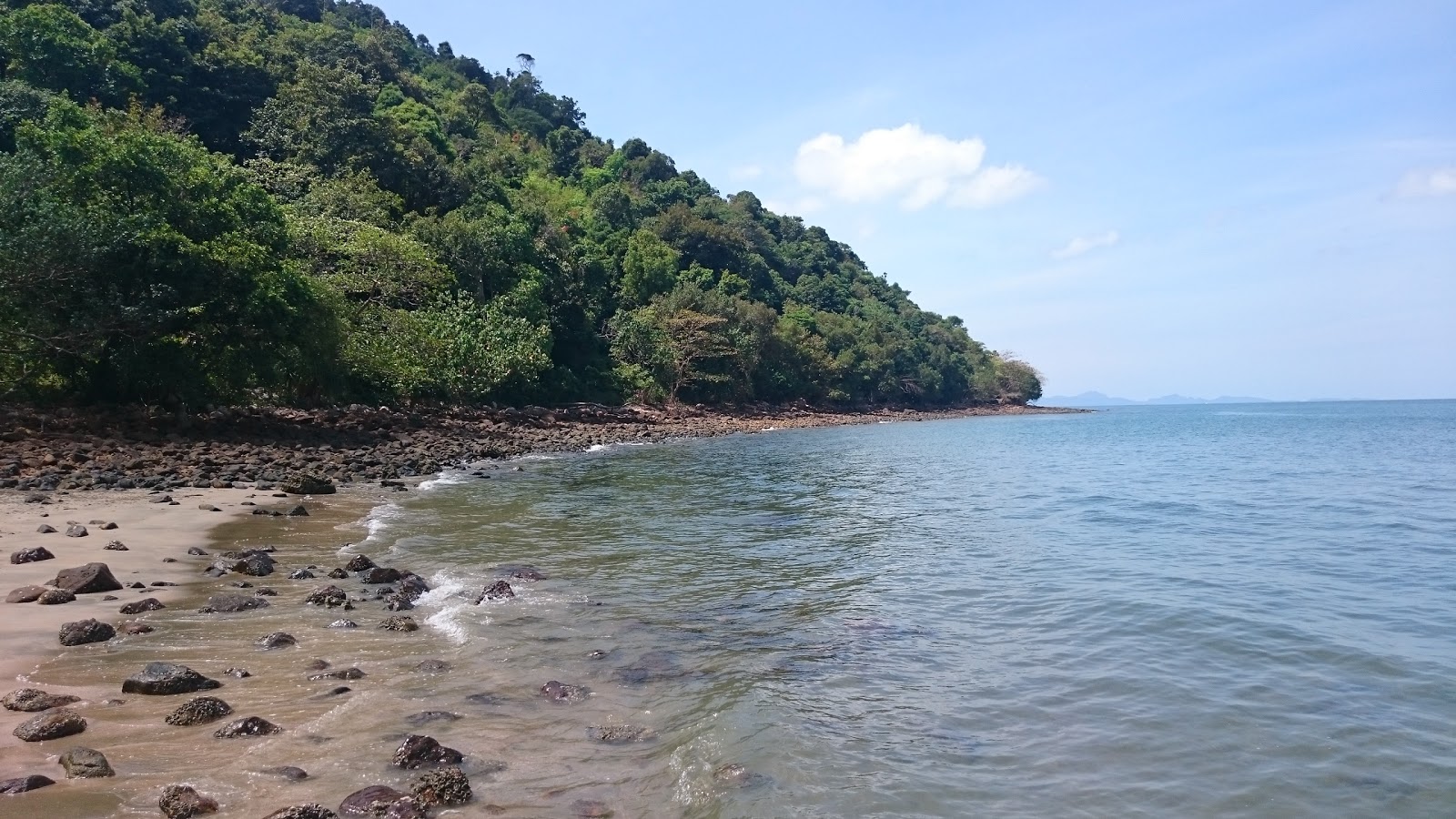 Foto de Coconut Beach localizado em área natural