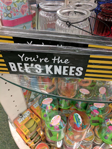 Shopping Mall «Woodlands Square», reviews and photos, 3150 Tampa Rd, Oldsmar, FL 34677, USA