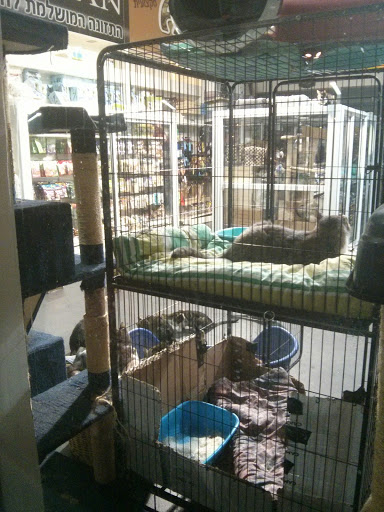 Cage shops in Tel Aviv