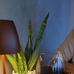 Photo n°5 de l'avis de Paolo.a fait le 16/08/2022 à 17:40 sur le  Ristorante Bar La Cia à Gubbio